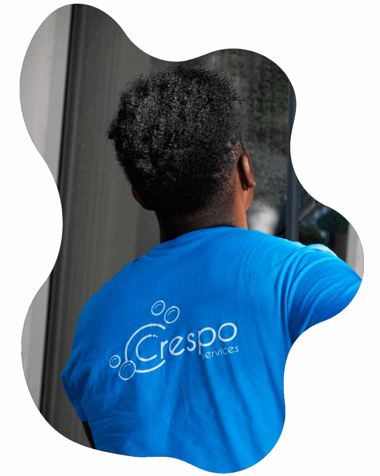 laveur de vitres toulouse