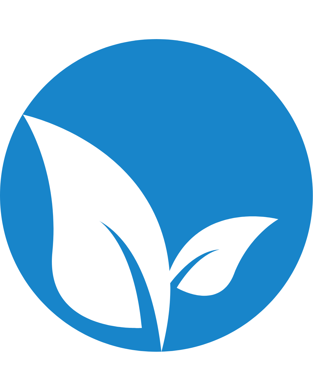 nettoyage à l'eau pure toulouse-crespo services